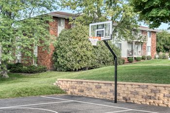 Basketball court